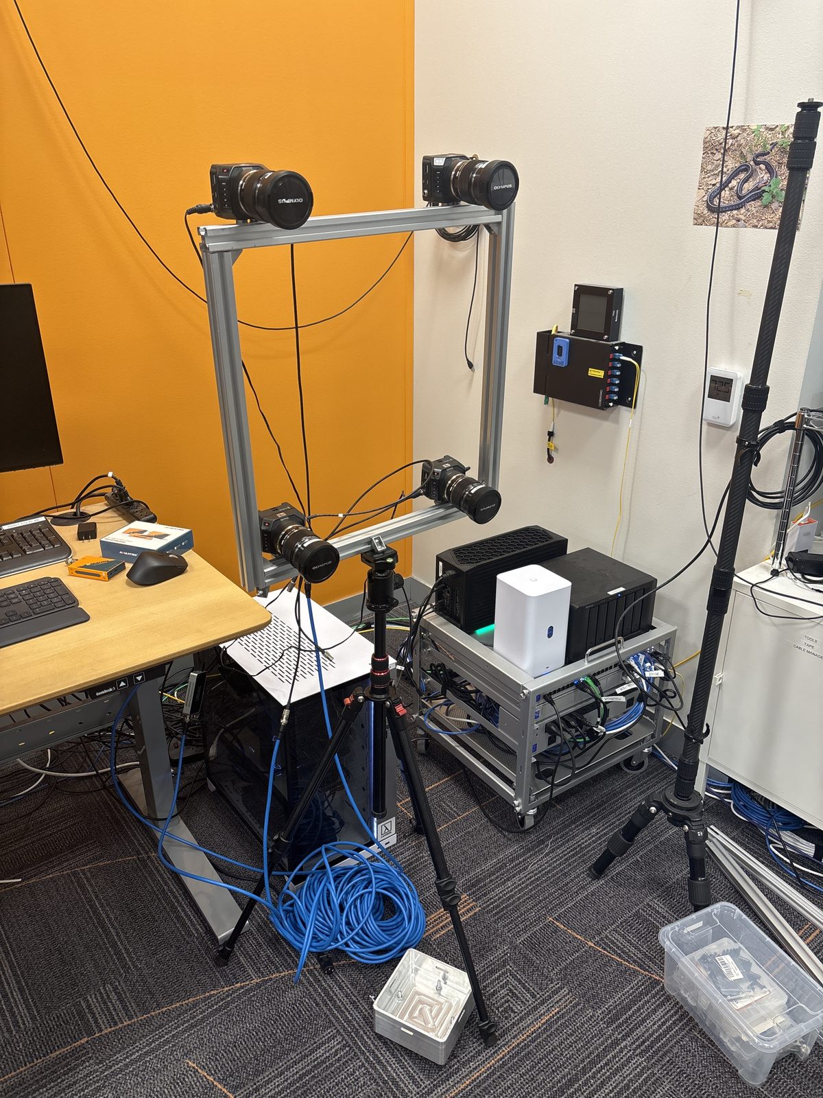 The four-camera capture rig.